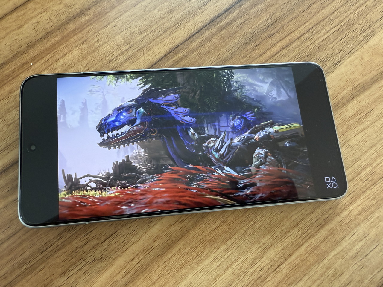 ゲーム動画視聴の様子