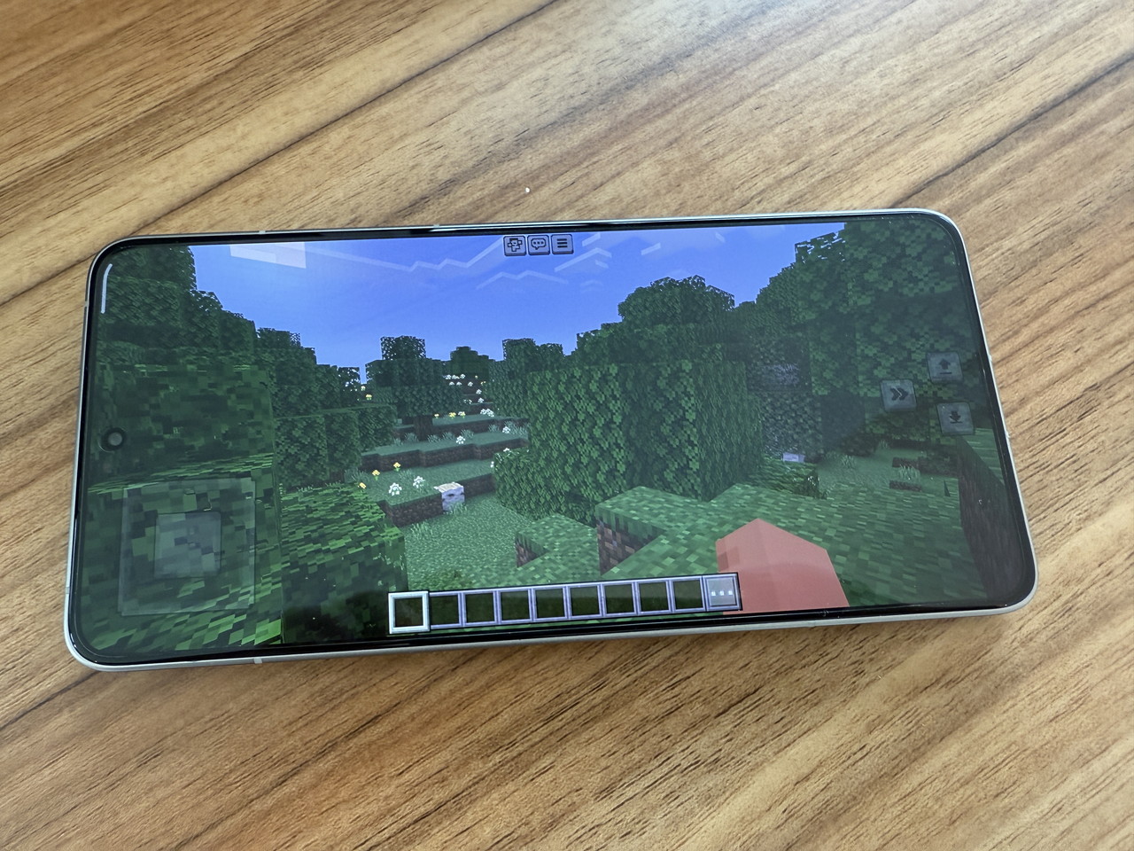 マインクラフトプレイの様子3