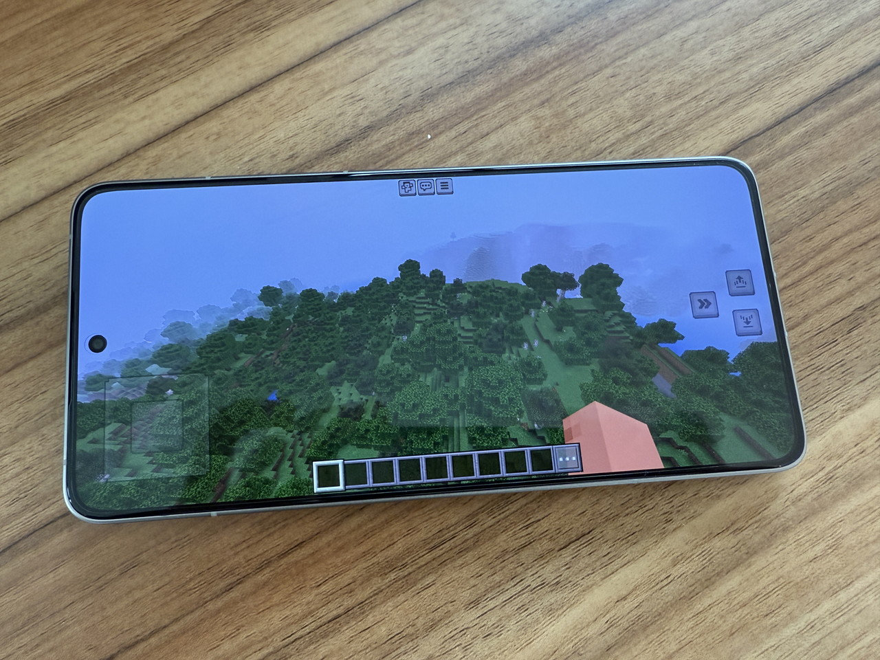 マインクラフトプレイの様子4