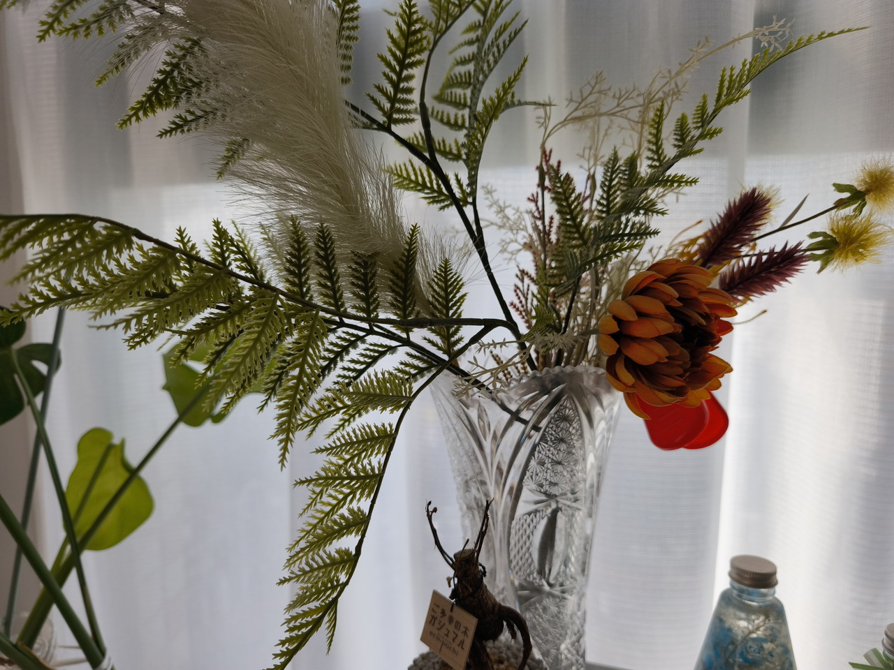 リアカメラで観葉植物を撮影した写真