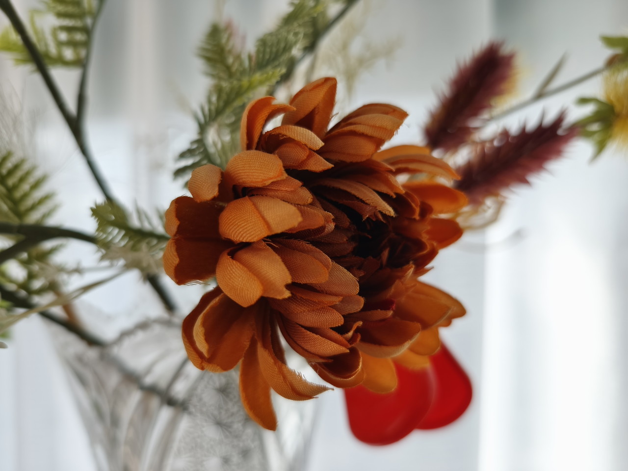 リアカメラで観葉植物を撮影した写真-ズーム