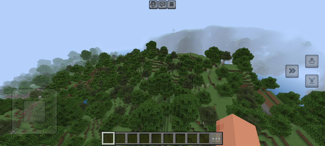 マインクラフトプレイの様子2