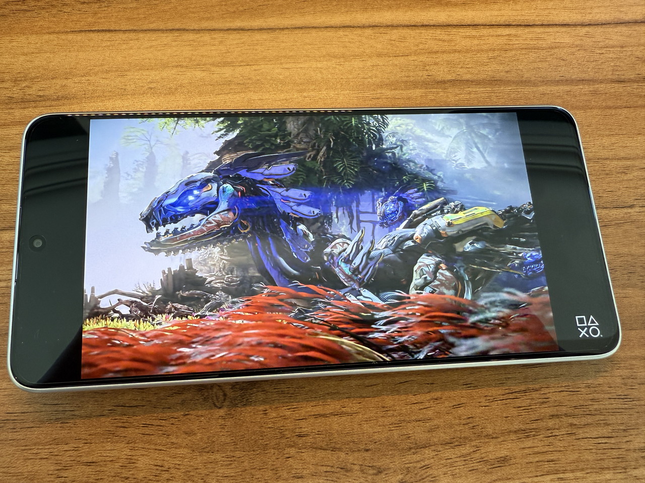 ゲーム動画視聴の様子1