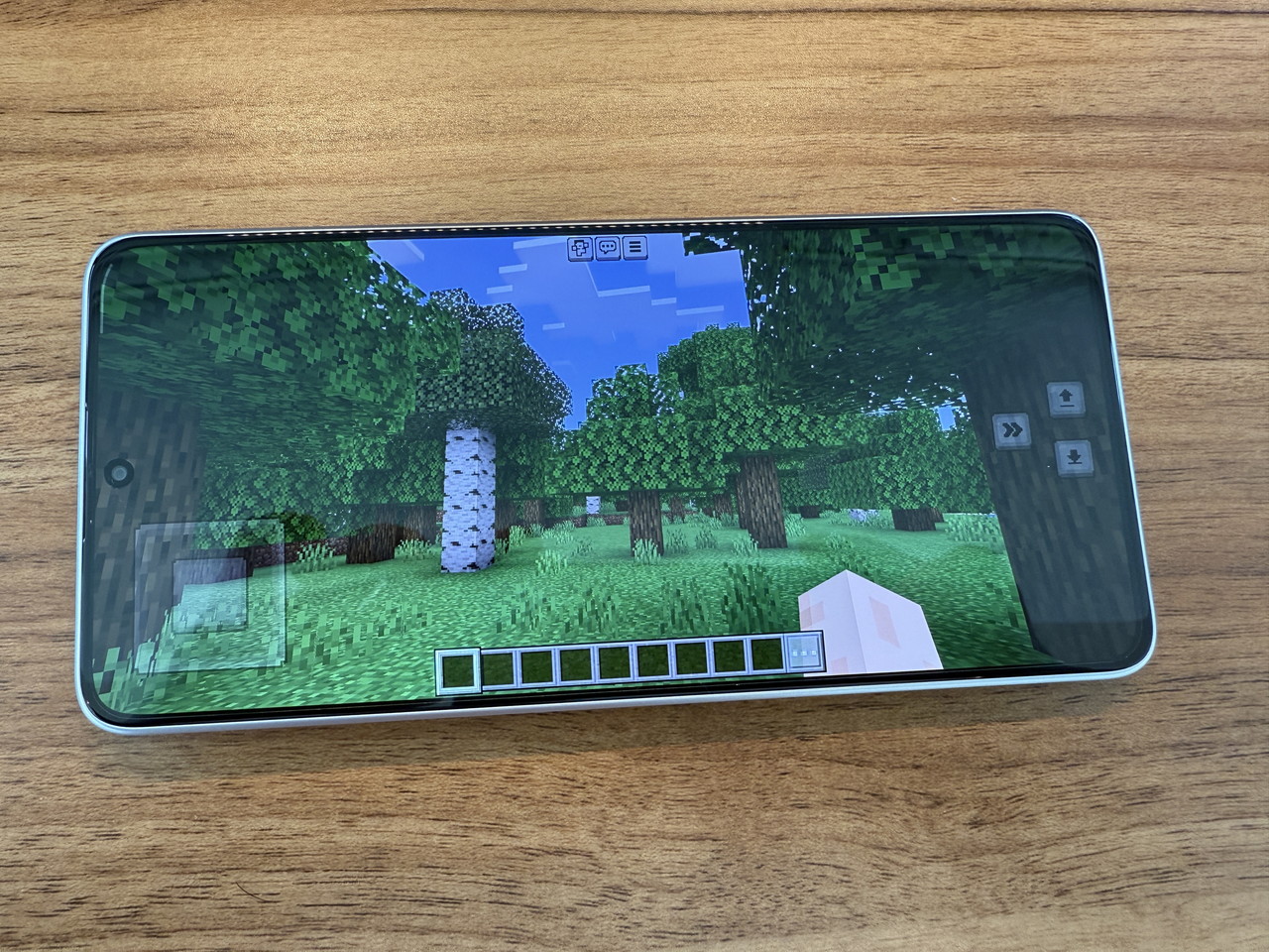 マインクラフトプレイの様子4