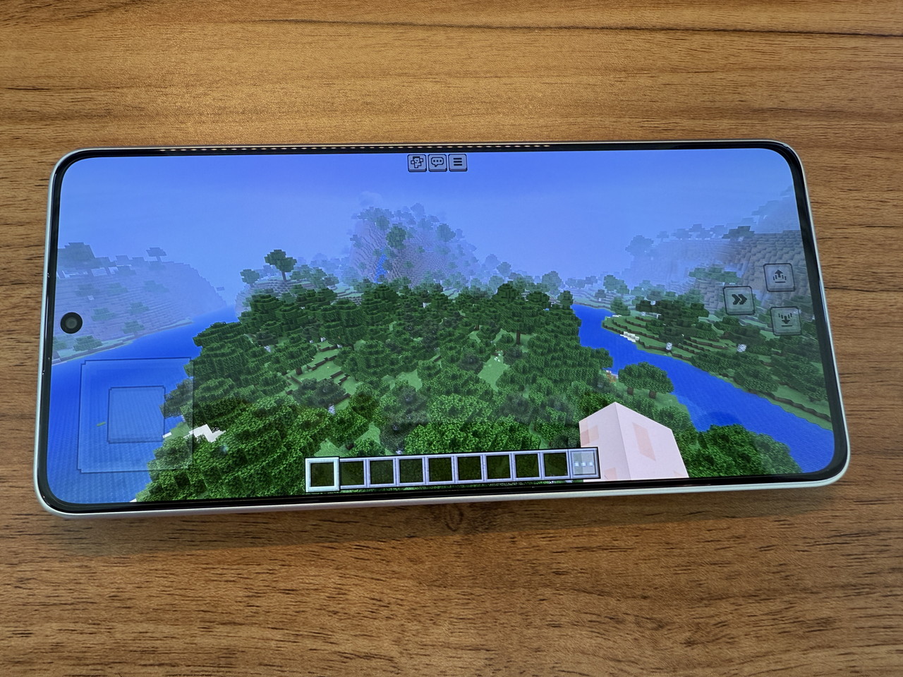 マインクラフトプレイの様子1