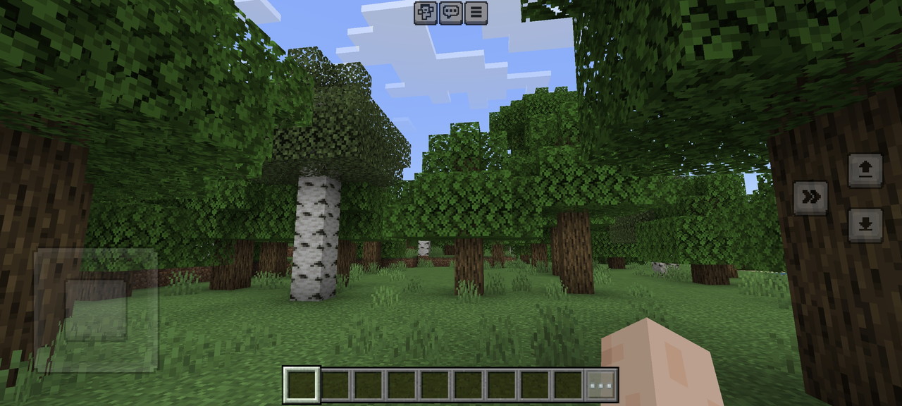 マインクラフトプレイの様子2