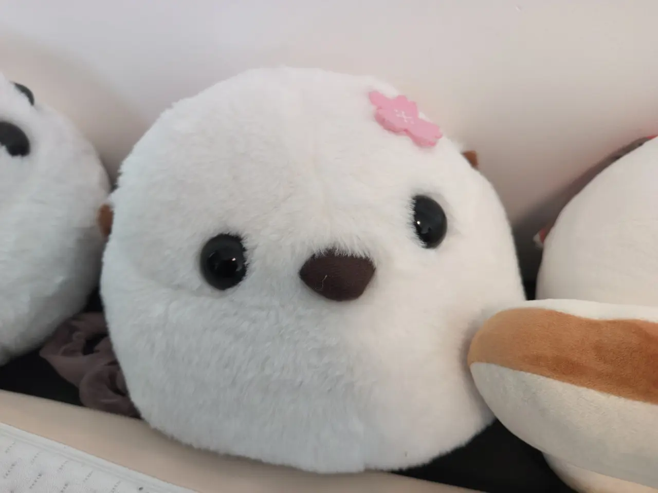 リアカメラで撮影したぬいぐるみ