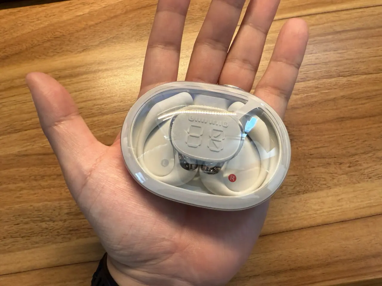 ACEFAST ACEFIT Proのチャージケースを手のひらに載せている(真上アングル)