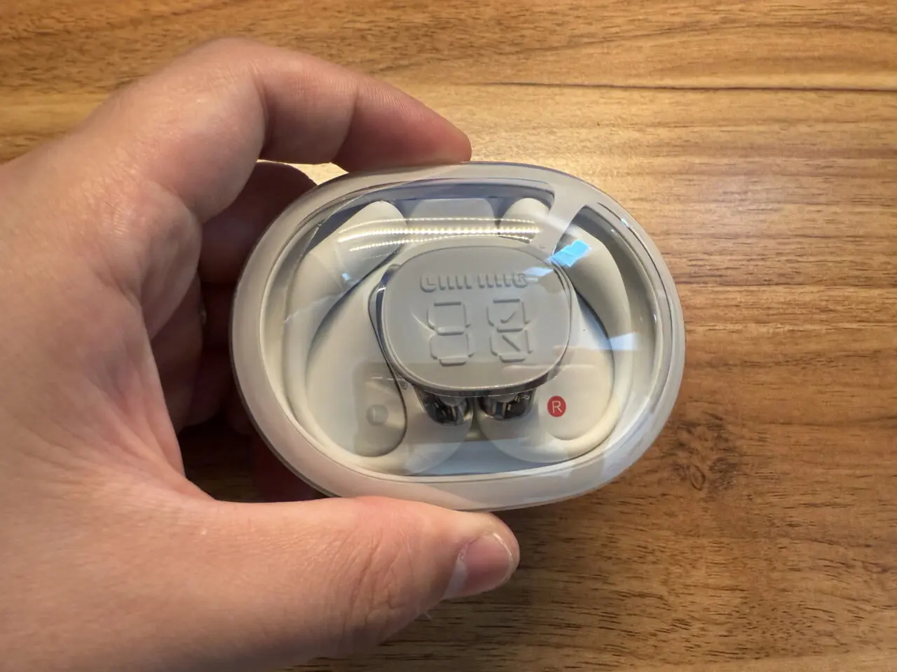 ACEFAST ACEFIT Proのチャージケースを指で摘まんでいる(真上アングル)