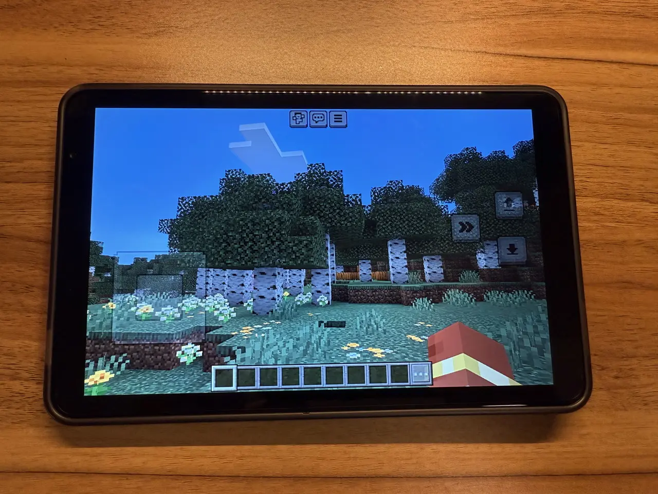 マインクラフトプレイ画面3