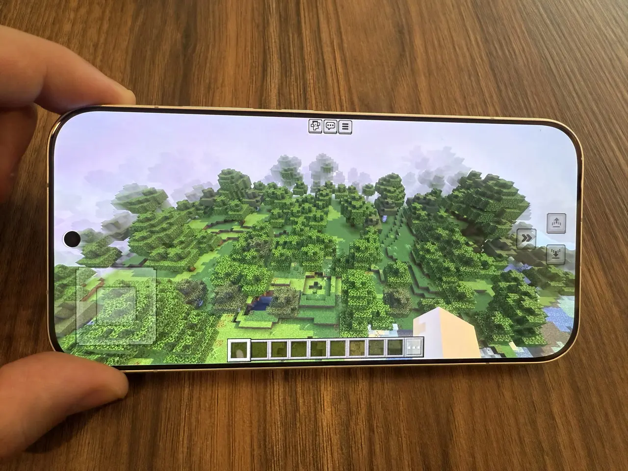 マインクラフトのプレイ画面2