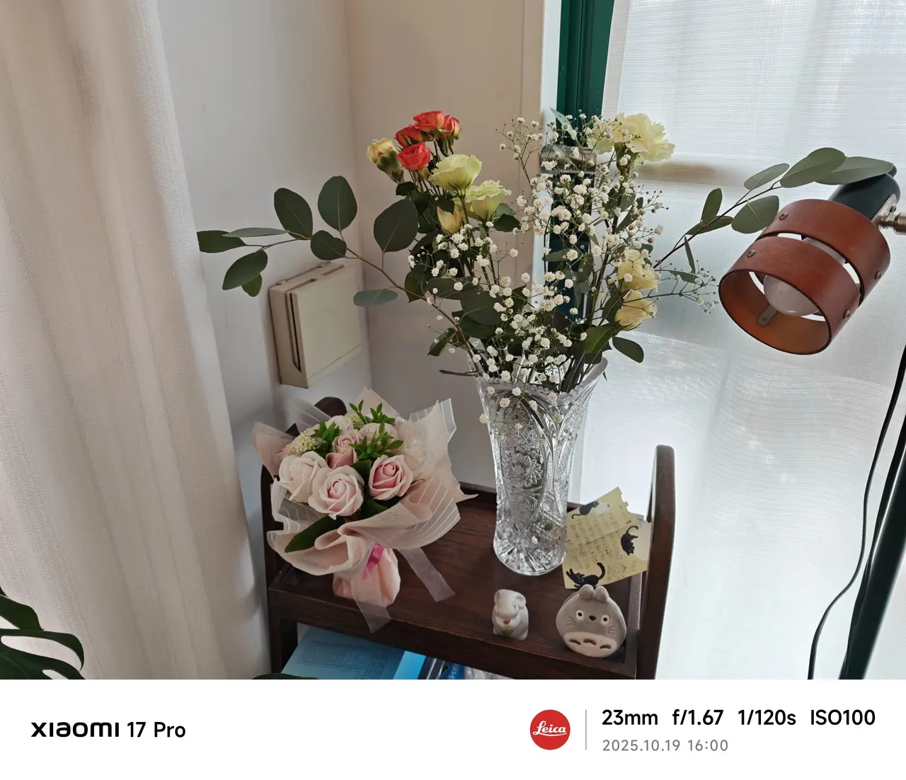 Xiaomi 17 Proのリアカメラで撮影した観葉植物