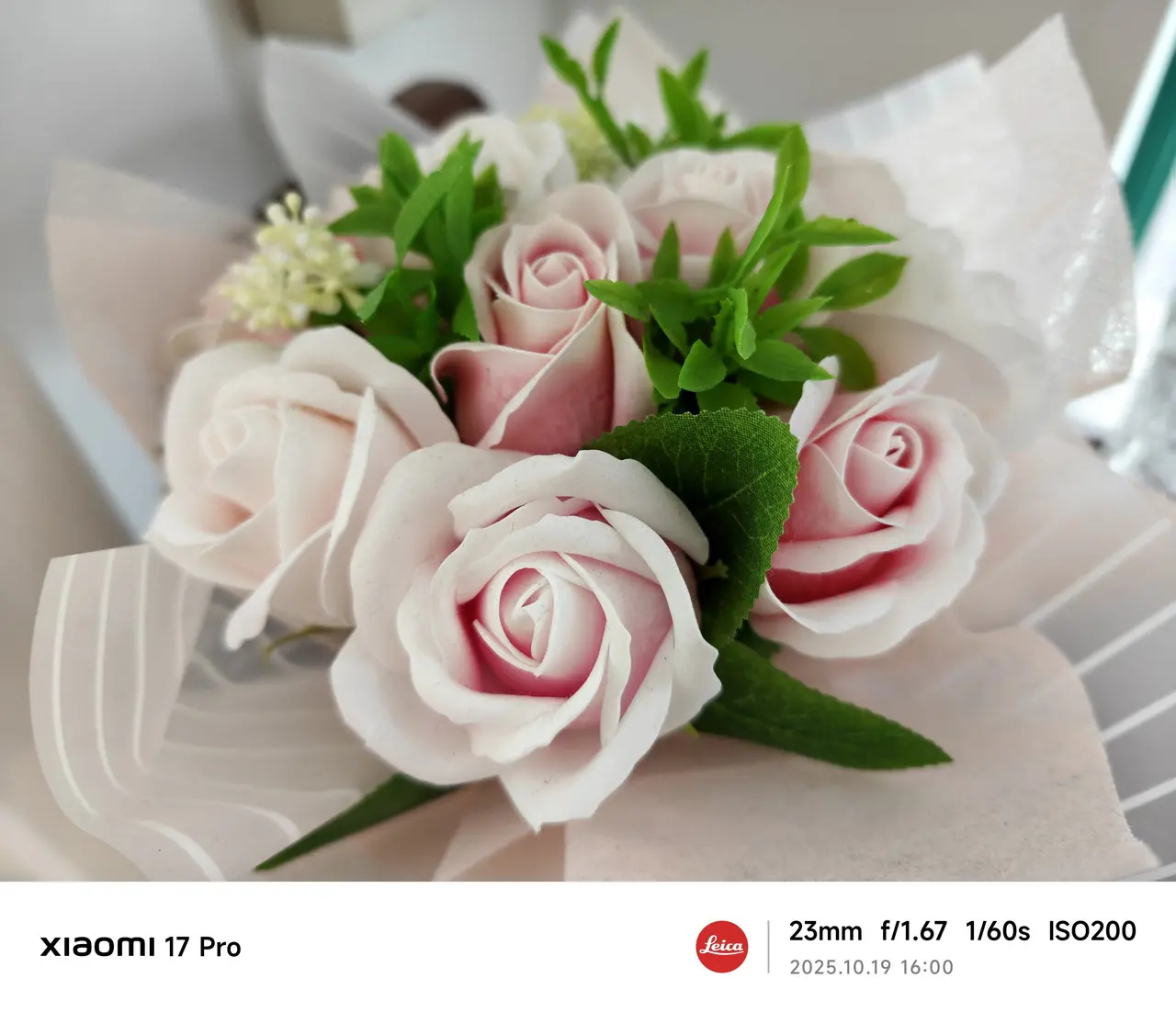 Xiaomi 17 Proのリアカメラで撮影した観葉植物(ズーム)