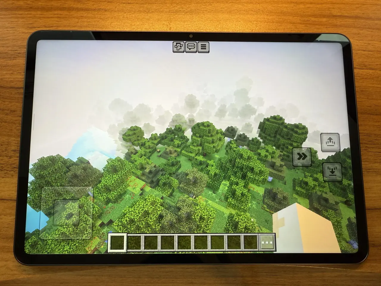 マインクラフトのプレイ画面4