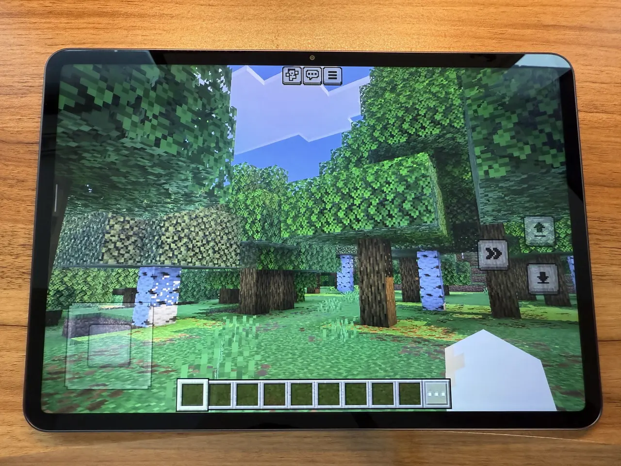 マインクラフトのプレイ画面1