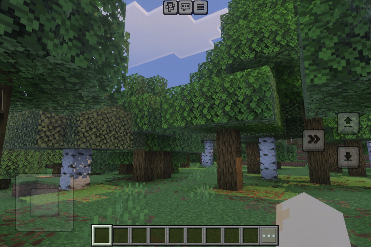 マインクラフトのプレイ画面3