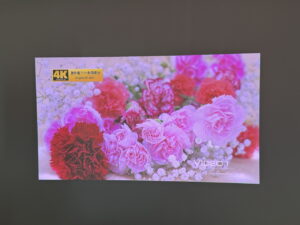 日中(カーテン閉じ)の映像