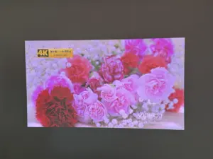 日中(カーテン閉じ)の映像