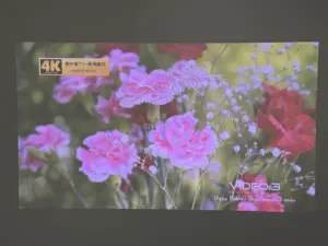 夜間(照明点灯)の映像