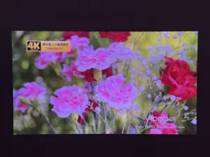 夜間(消灯)の映像