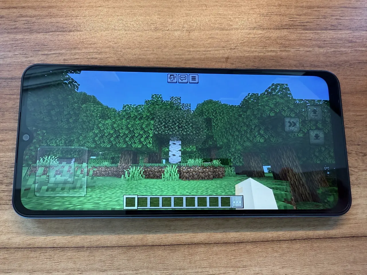 マインクラフトのプレイ画面1