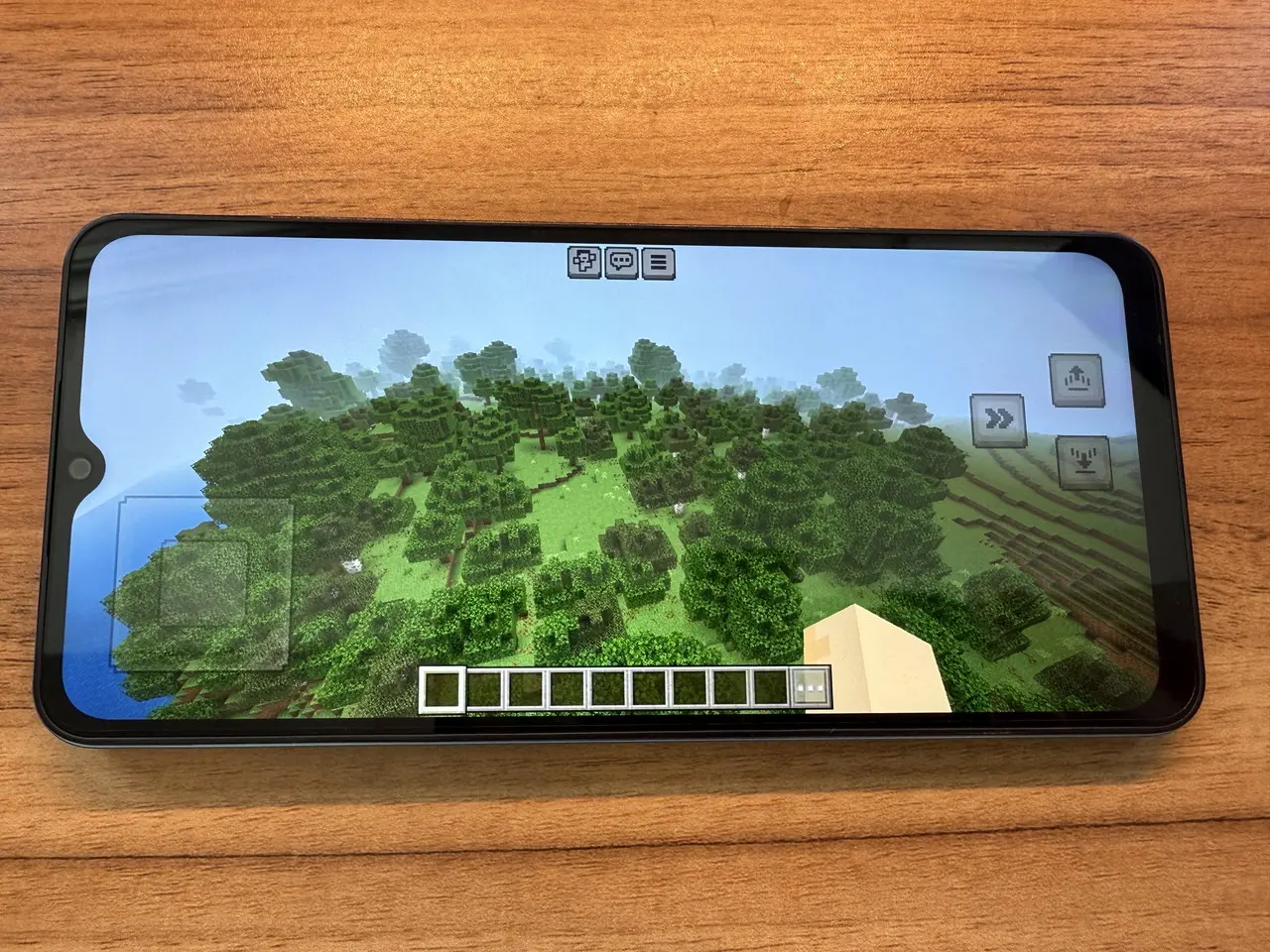 マインクラフトのプレイ画面2