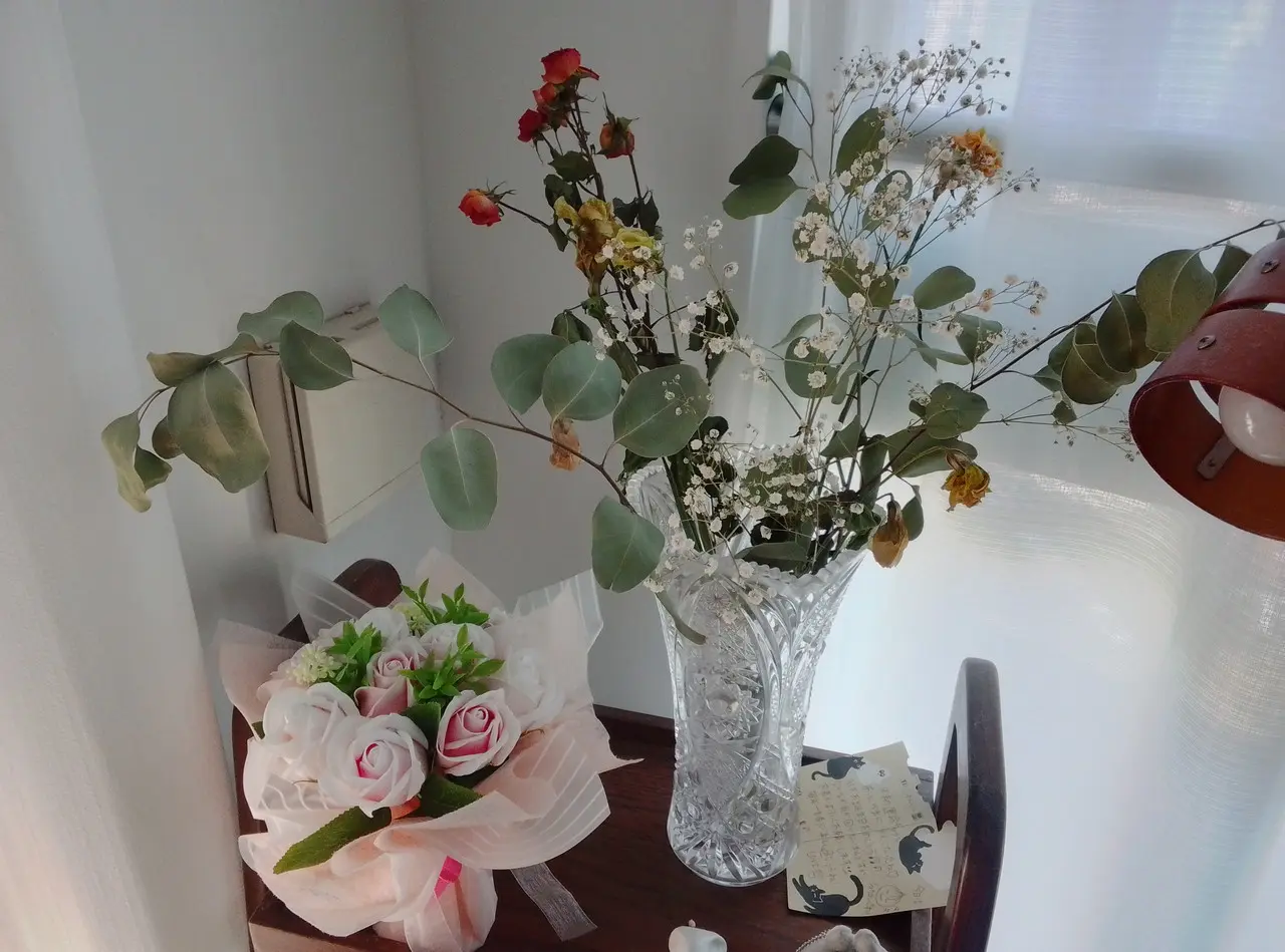 Blackview WAVE 9Cのリアカメラで撮影した観葉植物