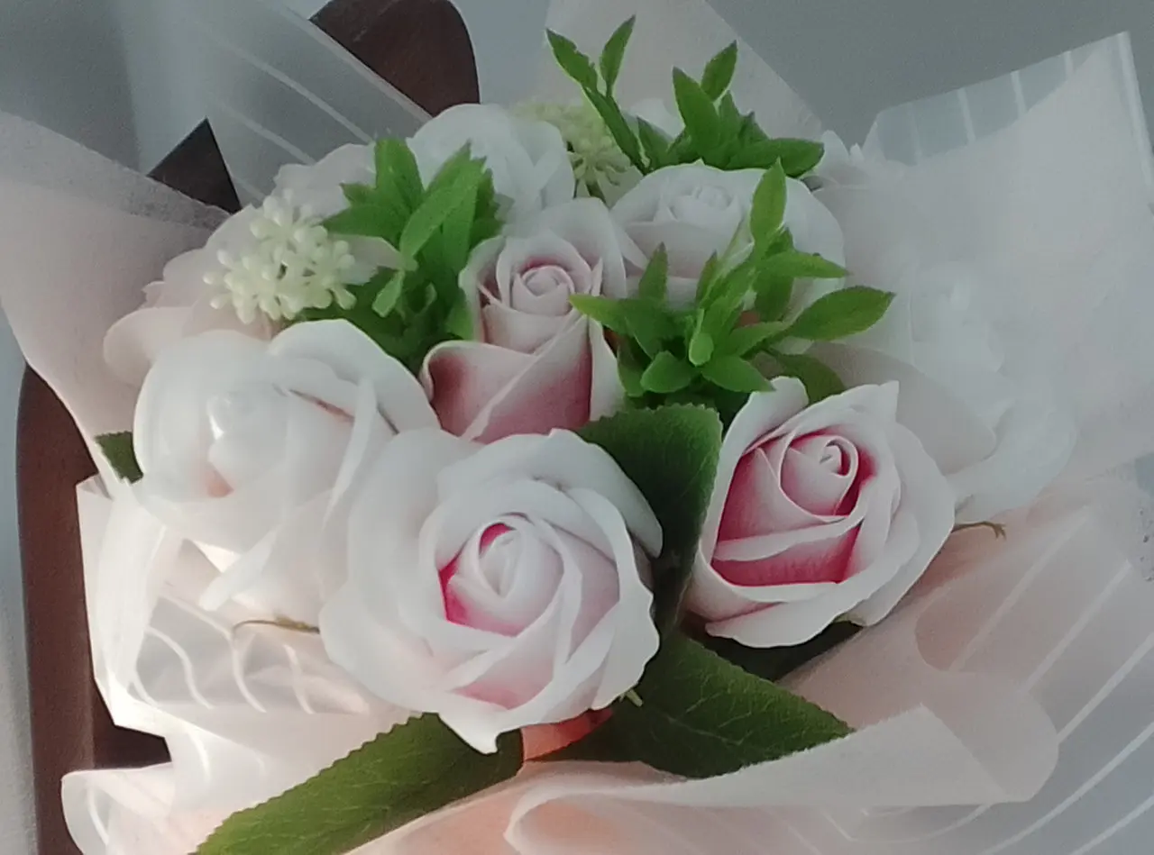 Blackview WAVE 9Cのリアカメラで撮影した観葉植物(接写)