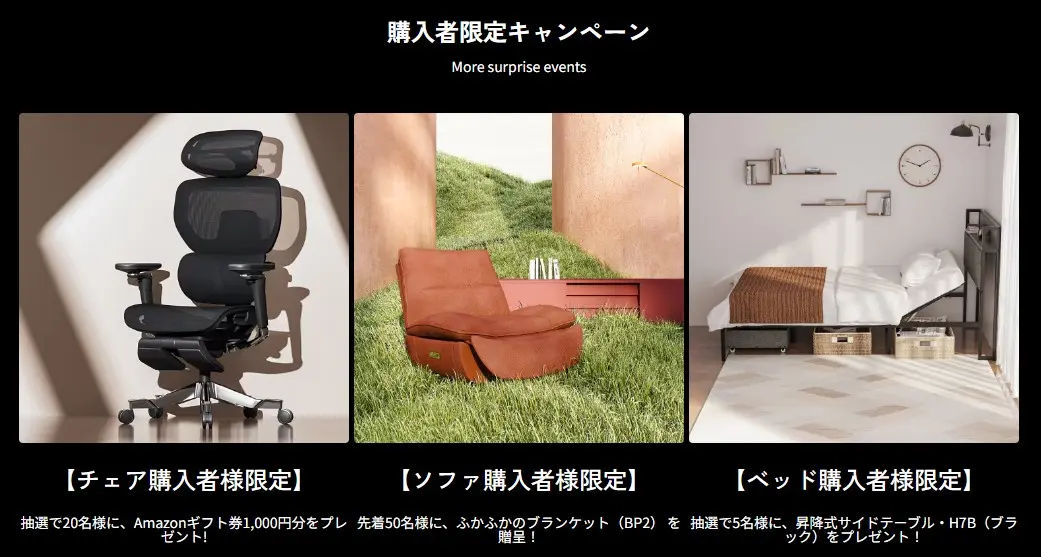 購入者限定キャンペーン