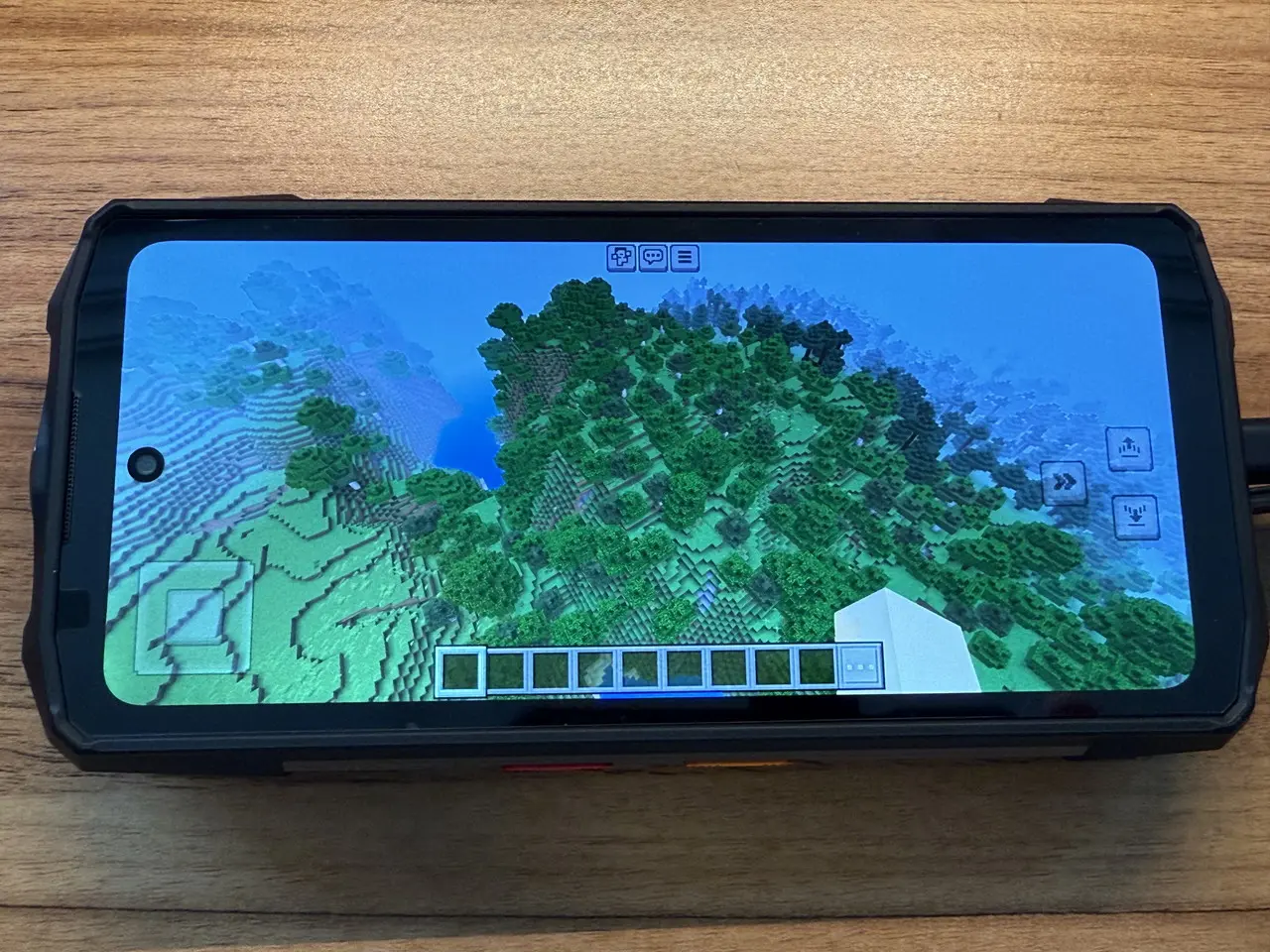 マインクラフトのプレイ画面3