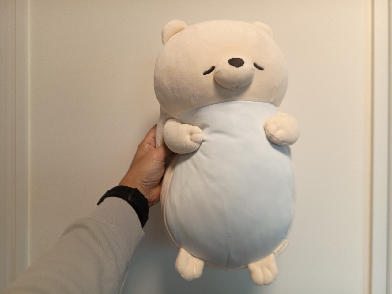 FOSSIBOT F113のリアカメラで撮影したぬいぐるみ