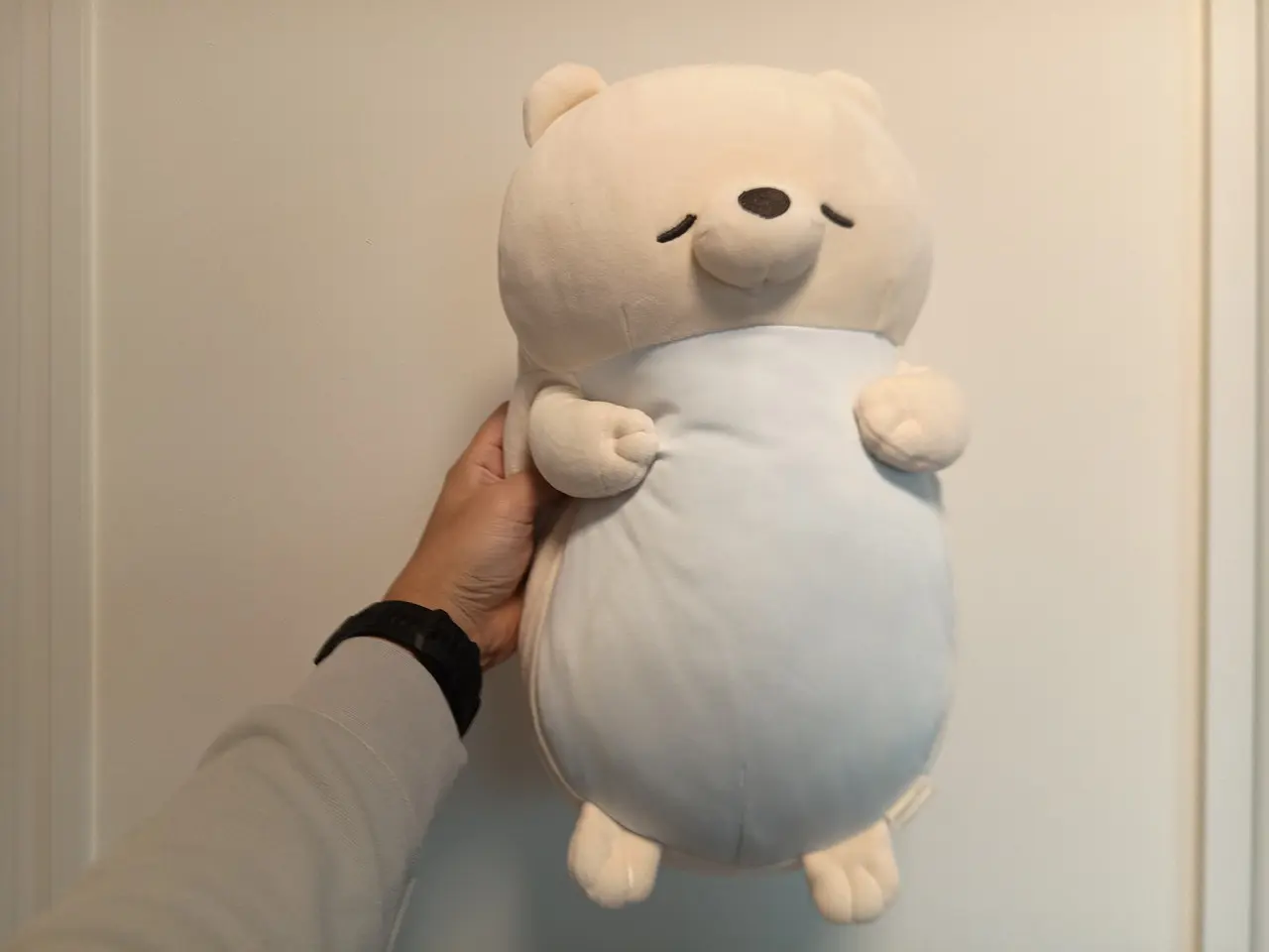 FOSSIBOT F113のリアカメラで撮影したぬいぐるみ