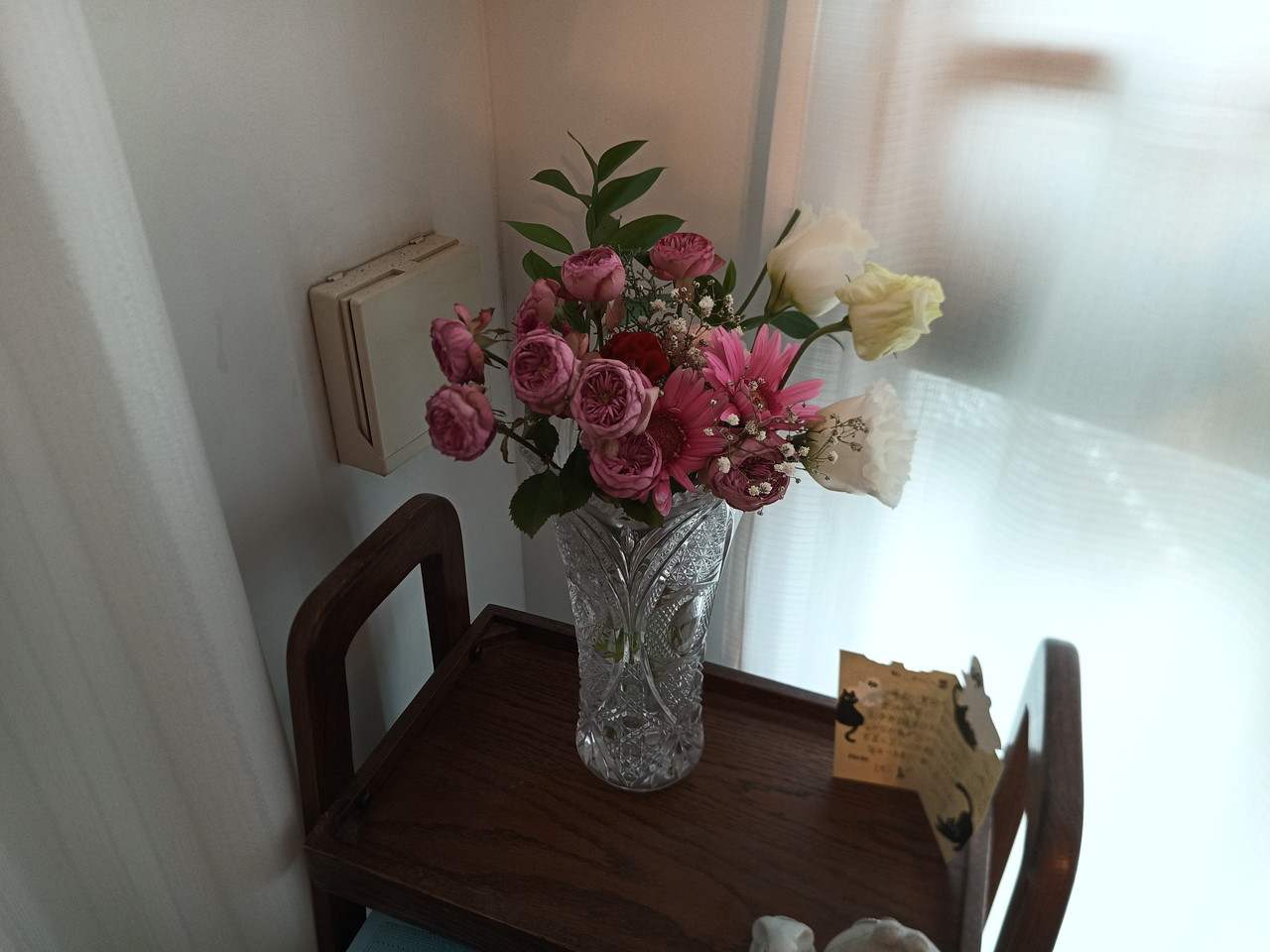 FOSSIBOT F113のリアカメラで撮影した観葉植物