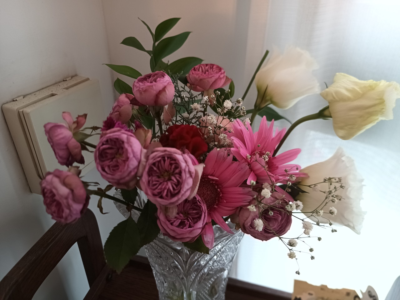 FOSSIBOT F113のリアカメラで撮影した観葉植物(ズーム)