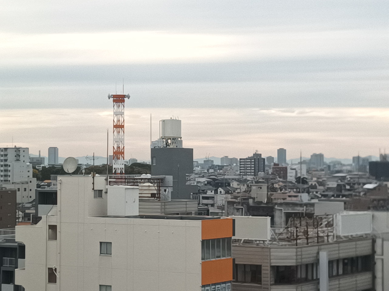 FOSSIBOT F113のリアカメラで撮影した屋外(4倍)