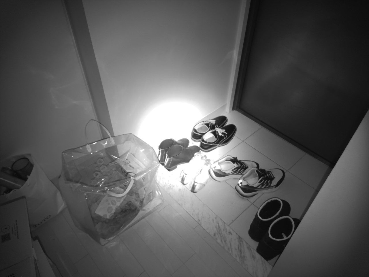 FOSSIBOT F113の64MP暗視カメラで撮影した写真