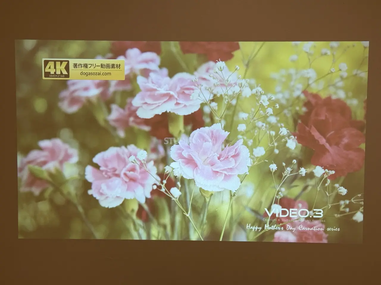 夜間(照明点灯)時の投影映像