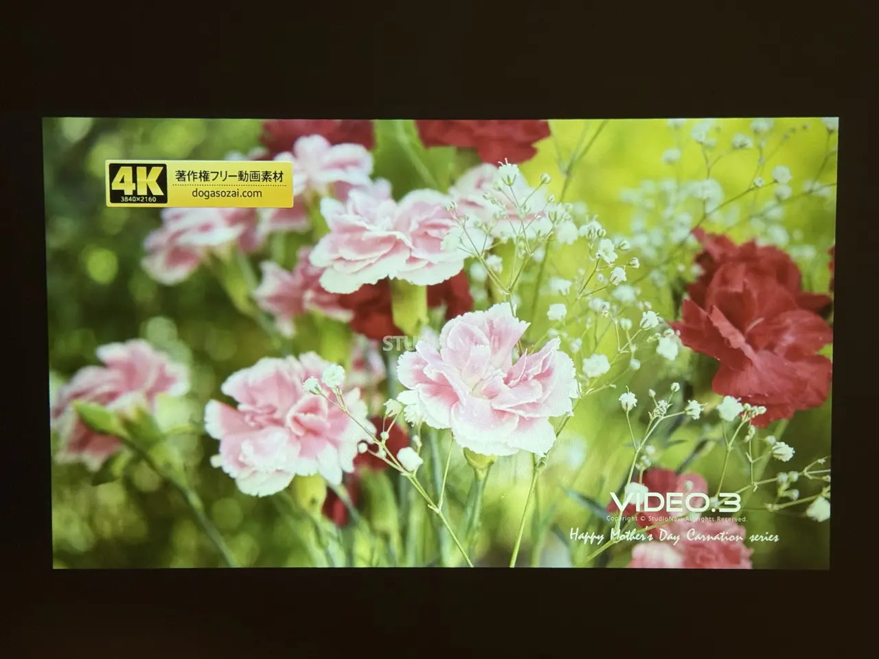 夜間(消灯)時の投影映像