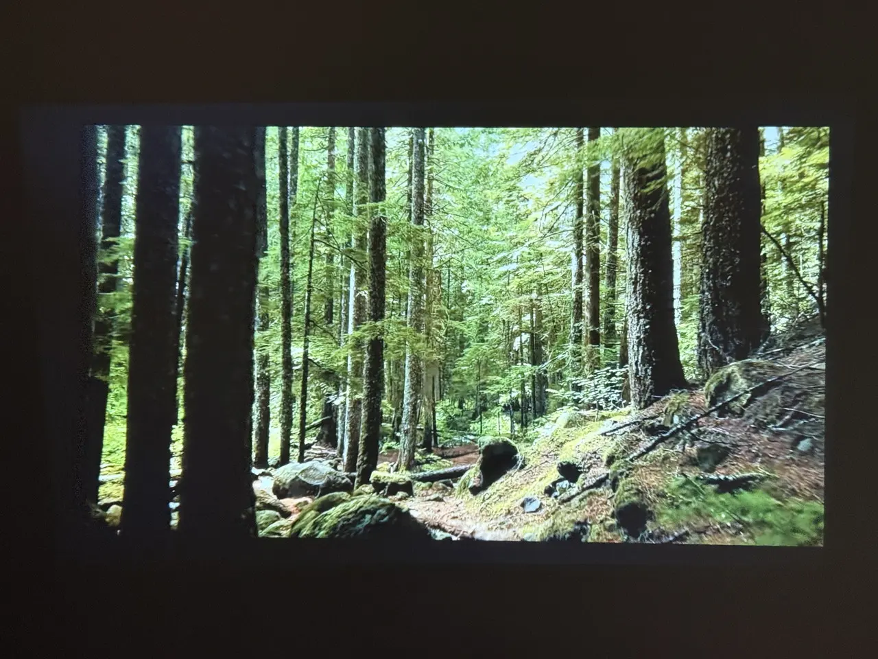 iWiMiUS P65で投影した実写映像