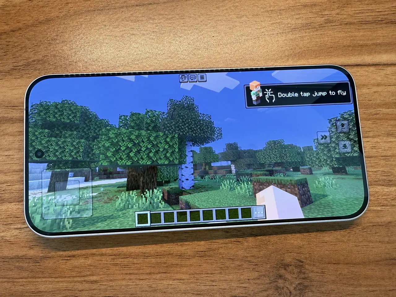 マインクラフトのプレイ画面4