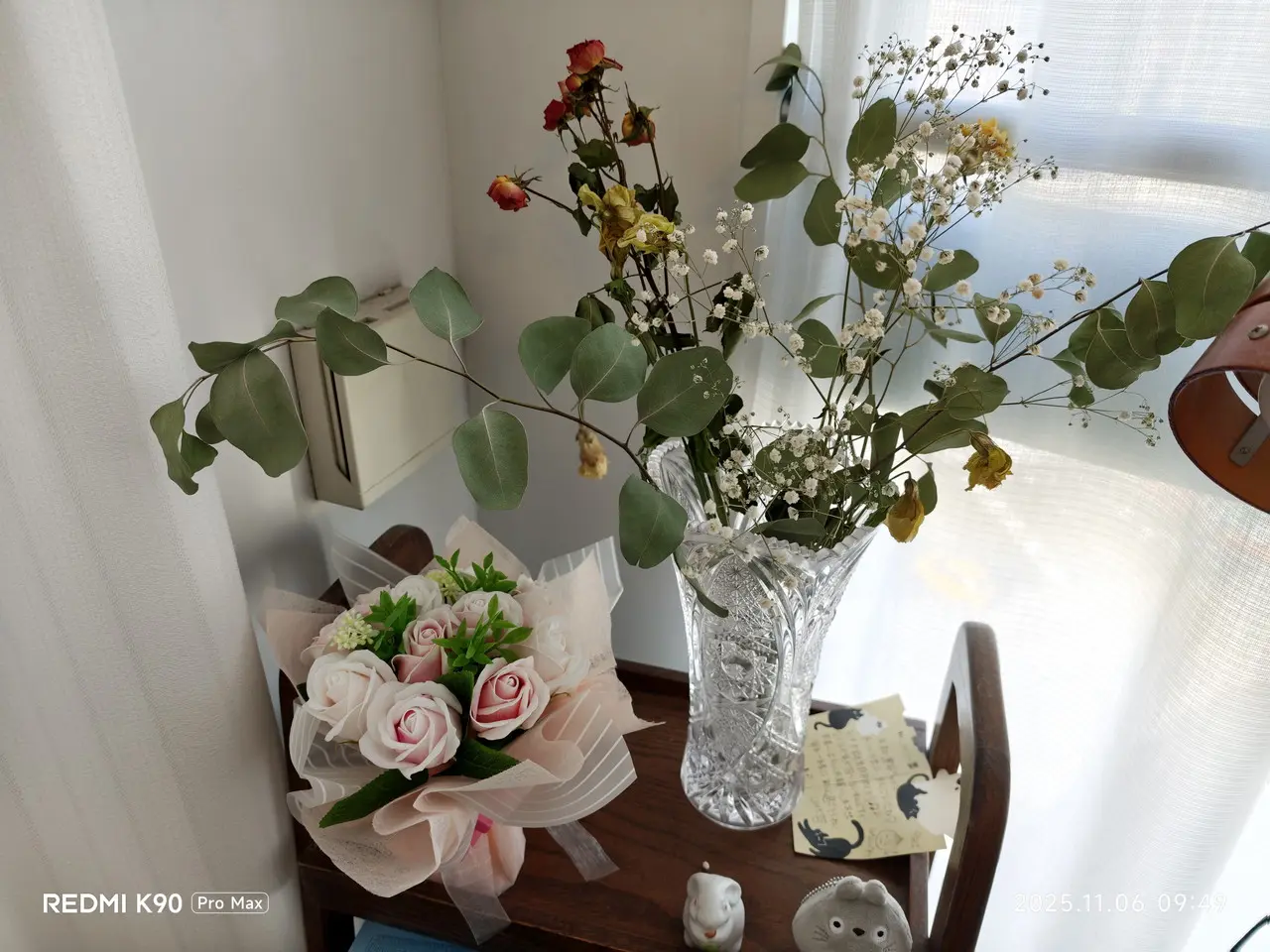 リアカメラで撮影した観葉植物