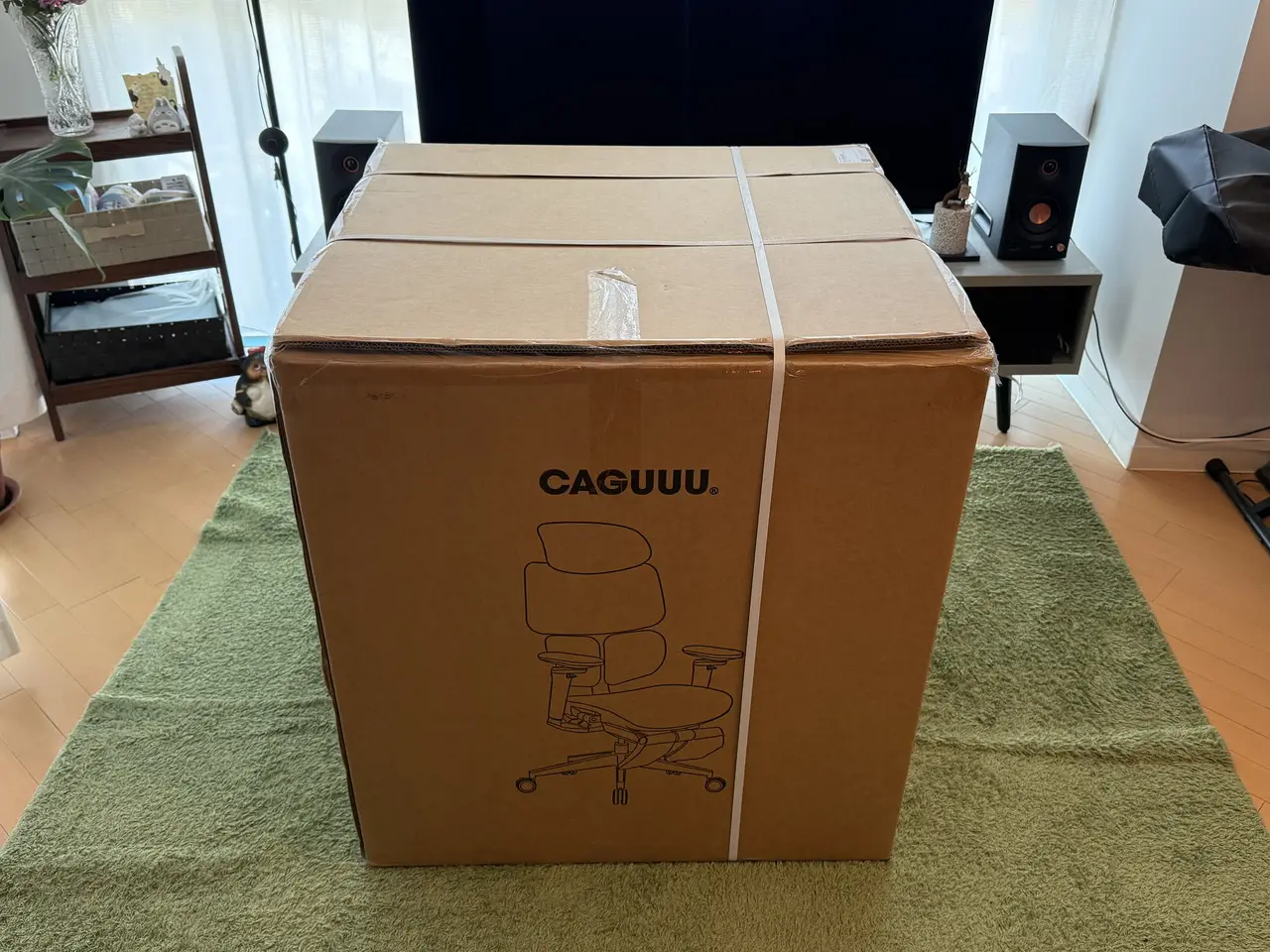CAGUUU AXIS エルゴコアオフィスチェアの外箱