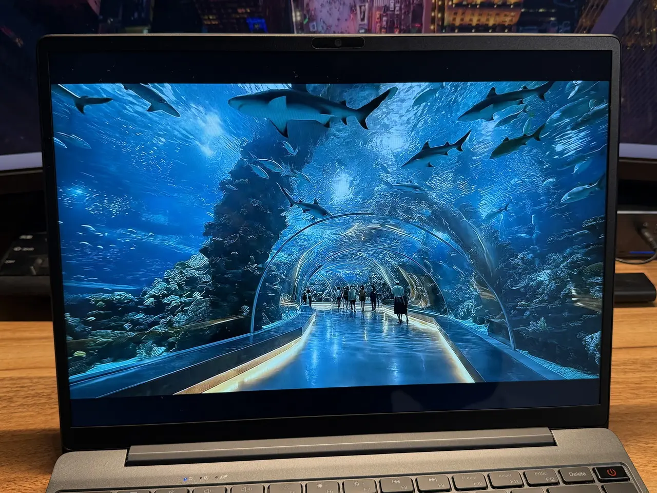 CHUWI Corebook Xの水族館動画を視聴している様子