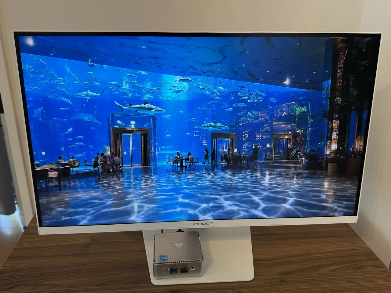 INNOCN GA27T1Mで水族館動画を視聴している様子