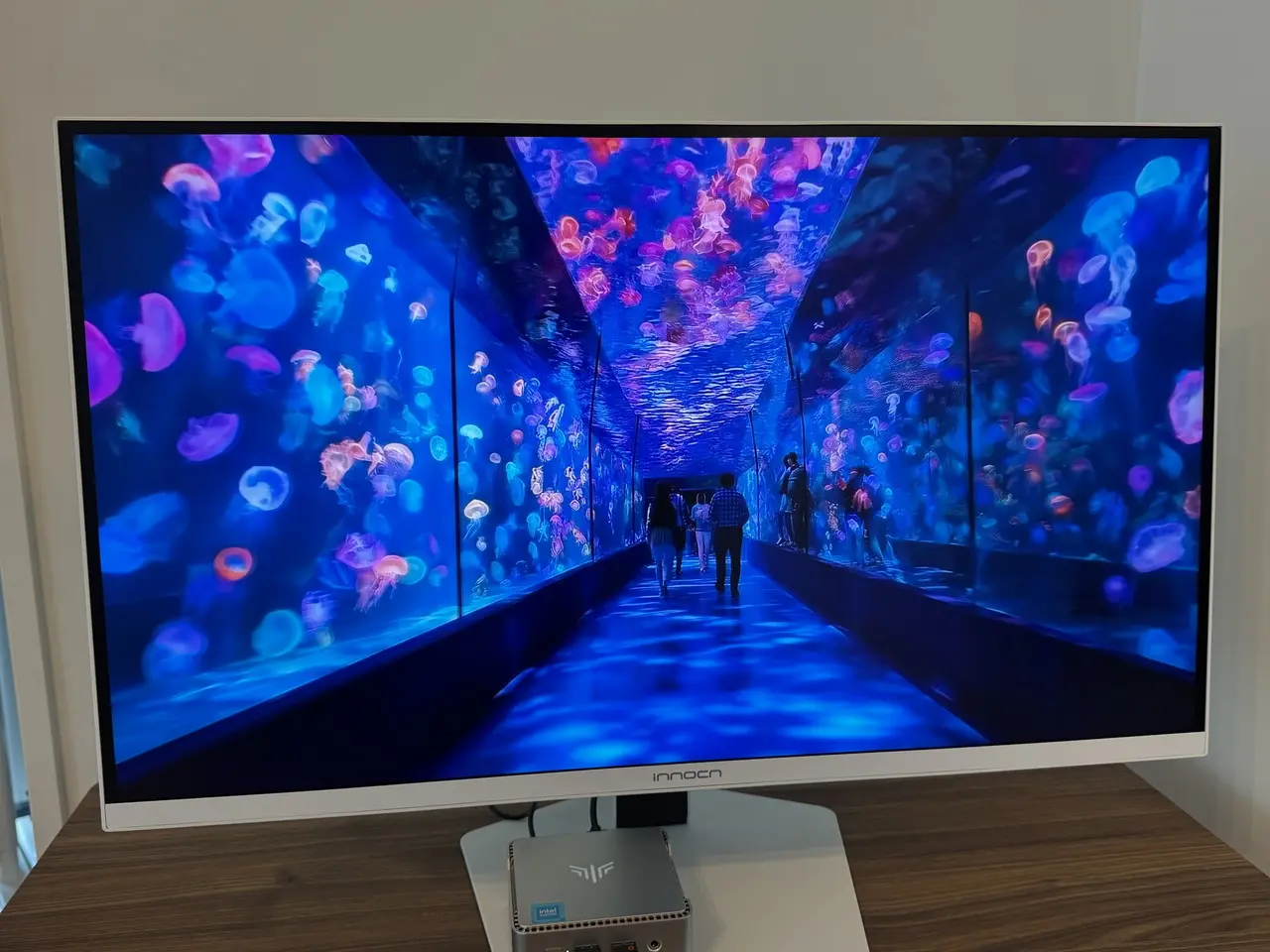 INNOCN GA27T1Mで水族館の映像を映している様子