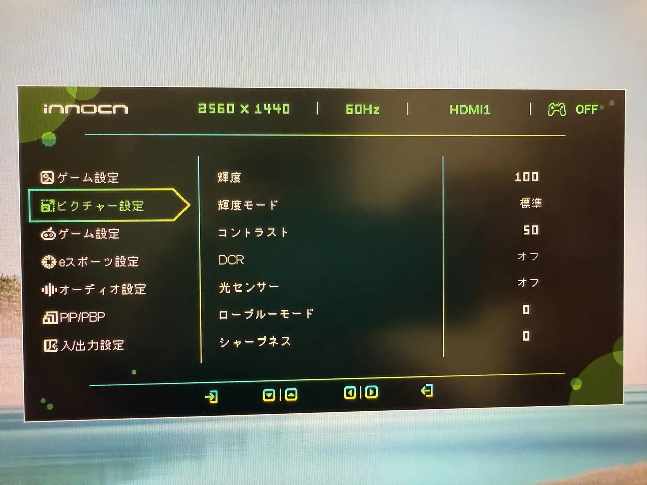ピクチャー設定項目