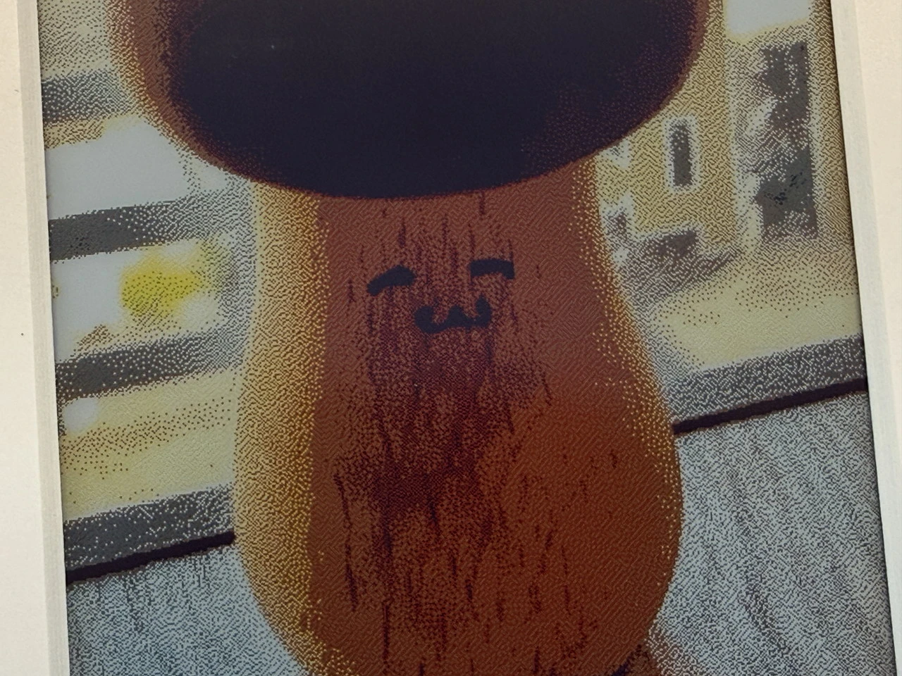 キノコの写真を至近距離から見た様子