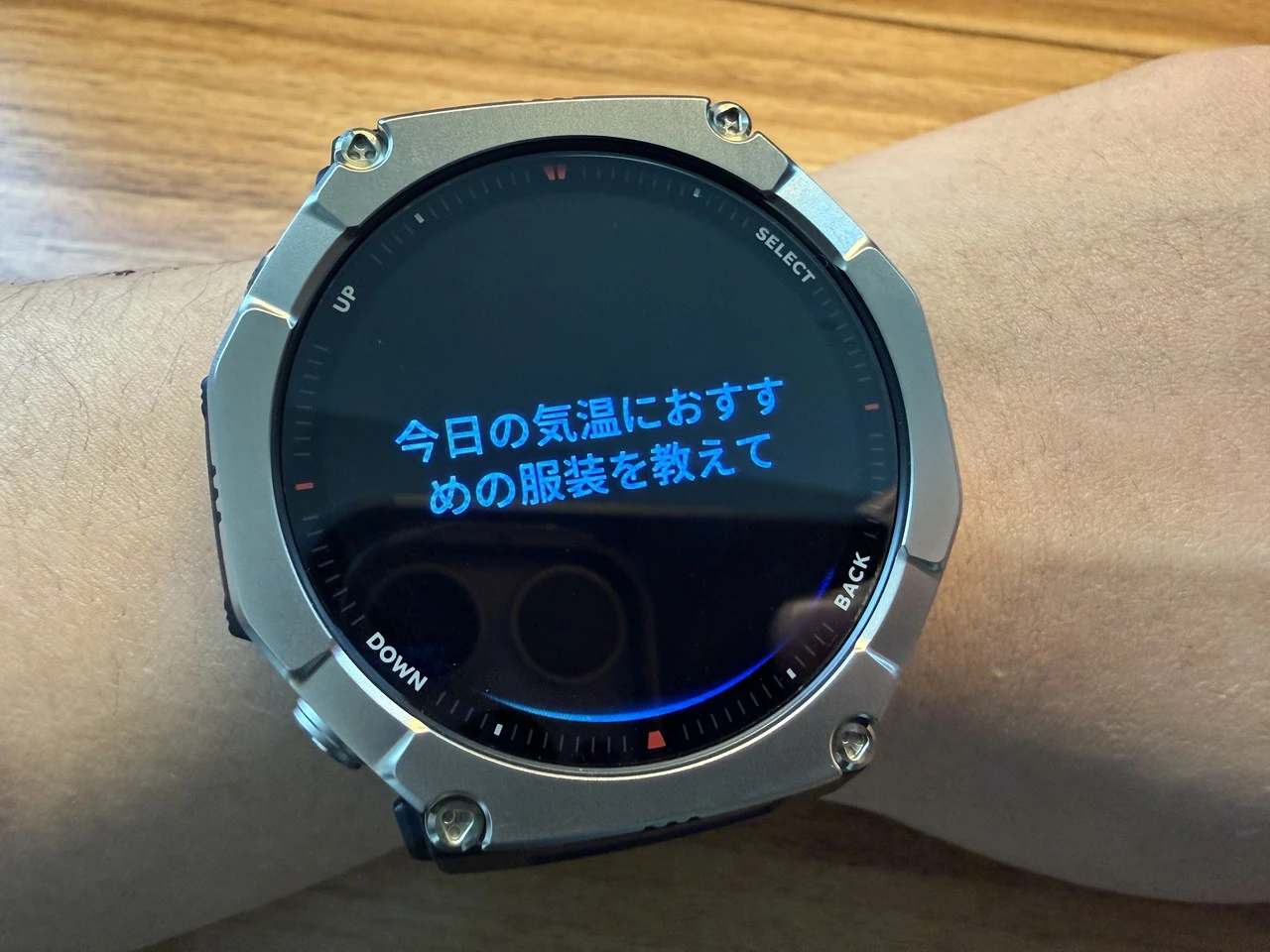 Zepp Flowに質問した様子