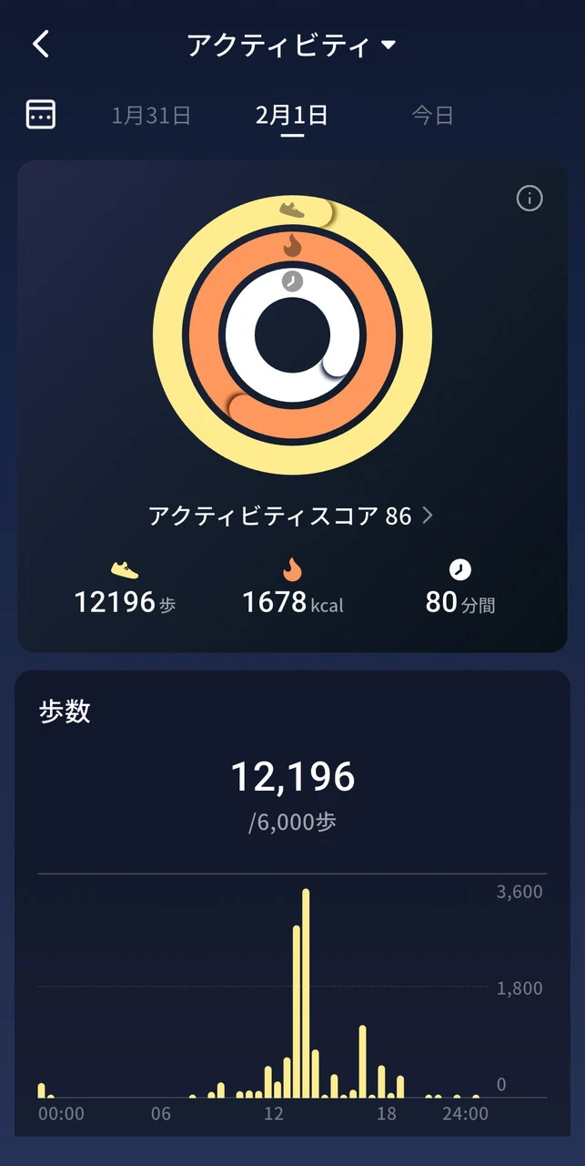 アクティビティ確認画面1