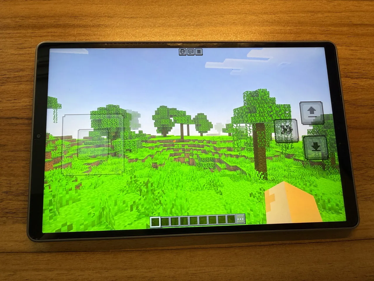 マイクラのプレイ画面3